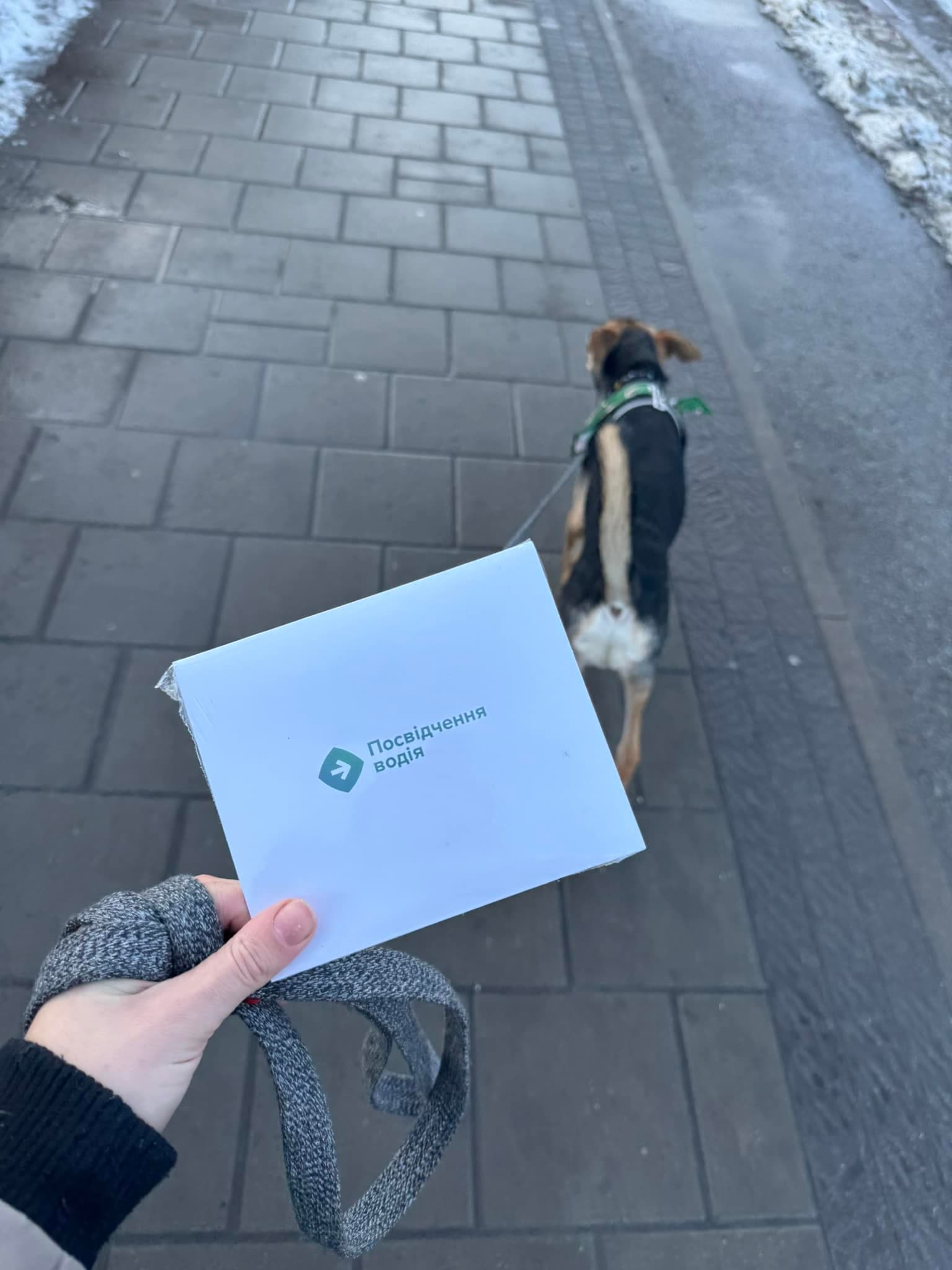 Відгук Марія Петренко